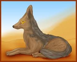 How To Draw A Jackal Drawings Jackal Lion Sculpture