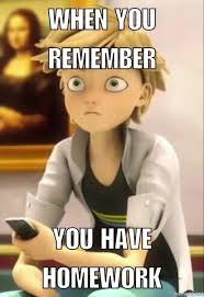 Miraculous Adrien Agreste Meme Miraculous Ladybug Comic Miraculous Ladybug Memes Miraculous Ladybug Funny