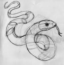 Rough Snake Sketch Snake Sketch Snake Drawing Snake Illustration