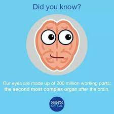 Eyes Are Complex Eye Facts Eye Care Health Eye Health