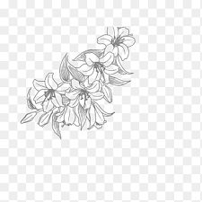 This file was uploaded by tnabqm and free for personal use. Flower Line Art Drawing Flower Line White Leaf Png Pngegg