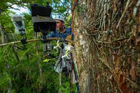 Ghosts Of The Everglades Biographic