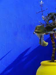 There's no good or bad side. Bleu Majorelle Des Gouts Et Des Couleurs Peinture Interieur Maison Bleu Jardin Majorelle