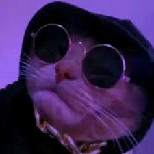 fotos de perfil de nft guarda y recorta｜Búsqueda de TikTok