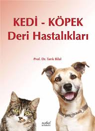 kedi kopek deri hastaliklari kitabi 257 adet renkli fotograf by ugurer tarim kitaplari issuu