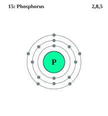 Pin On Chemistry Periodic Table