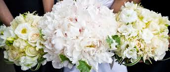 Maybe you would like to learn more about one of these? House Of Flowers 231 Mamaroneck Ave Mamaroneck Ny 10543 Flowers For All Occasions