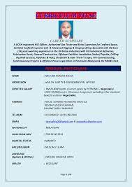 Wanna come on visit visa and search for job. Navi Sho Cv 2017