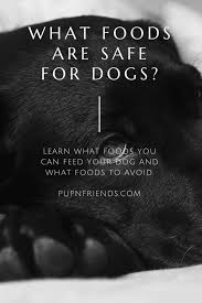 We did not find results for: What Foods Are Safe For Dogs Safe Foods Foods To Avoid