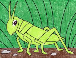 Grasshopper helps you focus on your business, so. How To Draw A Grasshopper Art Projects For Kids