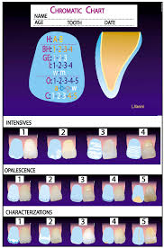 Diagram Of The Chromatic Chart This System Allows The