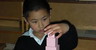 Autism and Special Needs Children in the Montessori Classroom