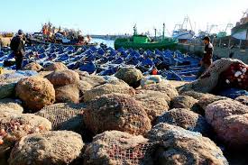Camel ride on the beach at essaouira. Top Destinations Africa Activity Private Day Trip To