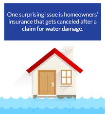 Your home insurance policy can be canceled after filing too many insurance claims. Common Home Insurance Claims And How To Prevent Them