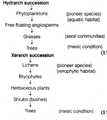 Important Questions For Cbse Class 12 Biology Energy Flow