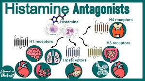 Image result for Histamine