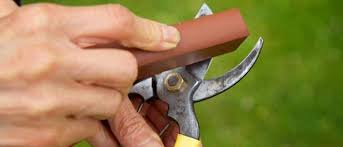 Check spelling or type a new query. How To Sharpen Garden Shears A Step By Step Guide Gustafs Greenery
