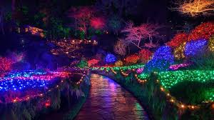 We ended our trip by walking around victoria harbor for about 45 minutes before returning to the ferry dock. B C S New Health Orders Postpone Butchart Gardens Christmas Viewing Ctv News