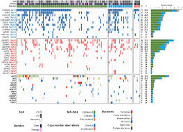 When you are recovering from a mesothelioma treatment such as surgery do everything you can to maintain a healthy weight and meet your nutritional needs to avoid losing. Integrated Genomics Identify Novel Immunotherapy Targets For Malignant Mesothelioma Medrxiv