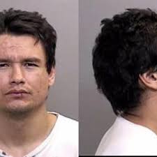 Sex offender arrested