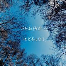 小草先生 aero hand instagram 照片和视频 instagram instagram photo chinese quotes