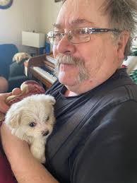 lookalikedogchallenge﻿﻿ Little Lady is one of her nicknames 😍