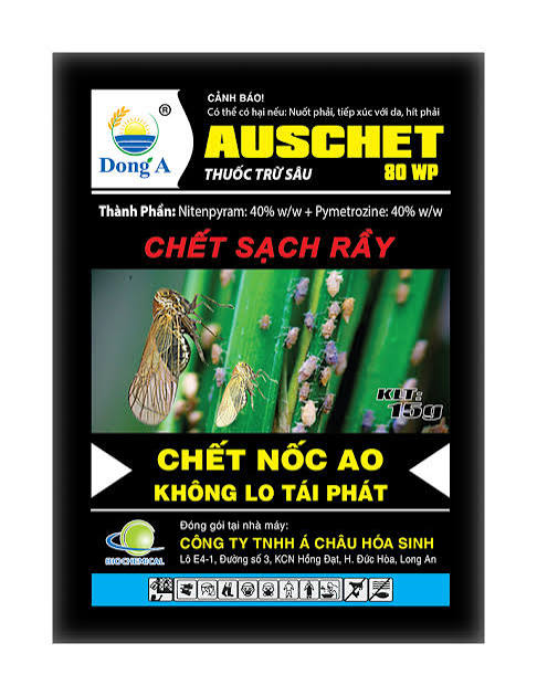 Auschet 80WP