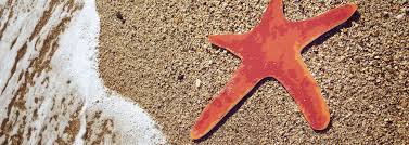 Lundbeck a/s (commonly known simply as lundbeck) is a danish international pharmaceutical company engaged in the research, development, manufacturing, marketing and sale of pharmaceuticals across the world. Welcome To Elaiapharm