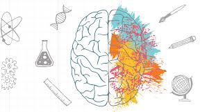 Dan berikut adalah penjelasan berbagai fungsi otak kanan dan otak kiri yang sebenarnya pada anak maupun dewasa, sehingga kita bisa membedakan diantara keduanya. Perbedaan Fungsi Otak Kiri Dan Otak Kanan