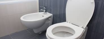 What are Bidets and Bidet Toilet Seats? - Brondell Inc ...