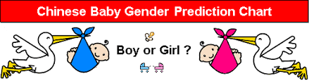 The Origin Of The Chinese Baby Gender Prediction Chart