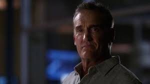 Characters in Arrowverse: West/Allen Family