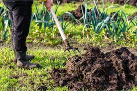 Pour Produire Plus Au Potager Pensez Fumier