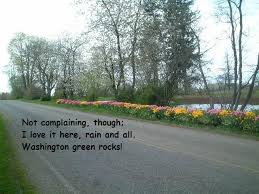 Big cherry blossom 5 pink flowers bloom happily 7 open window warm 5 spring vocabulary apple butterfly bloom cherry blossom daylight dream flower flow grow rabbit green rain rainbow colorful pink sunshine warm weather sprout seed clear wake up sleep shine window open air mountain. Basho On Spring Quotes Quotesgram
