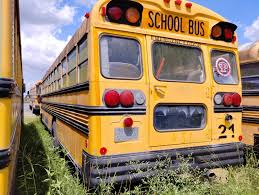 Image result for School Bus Yellow 1994 Truck
