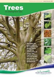 Decision trees are the most susceptible out of all the machine learning algorithms. Trees On Development Sites Spg South Gloucestershire Council