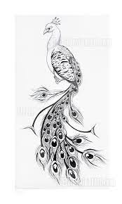 Pin On Peacock Paintings Illustrations