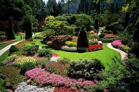 Some flower gardens are largely devoted to one type of flower, for example rose gardens. 15 Flowering Plants With Large Blossoms