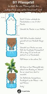 Pin Auf Container Gardening