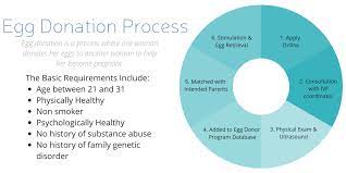 Are you interested in donating your eggs? What It Takes To Be An Egg Donor Baby Center