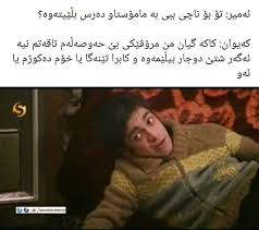 Kurdish Quote Funny Quotes Script Writing Quotes