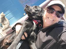 Please help these cats get their freedom ride!