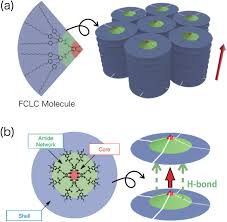 Acdc (ac/dc) — rejection (power up 2020). A Molecular And Phase Structures Of Ferroelectric Columnar Liquid Download Scientific Diagram