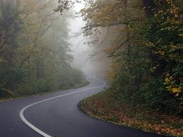 Sie fahren nachts auf unbeleuchteter straße. Vorsicht Laub So Fahren Sie Sicher Durch Den Herbst Autohaus Sirch
