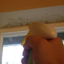 how to clean mold on painted walls and ceiling mold on bathroom ceiling mold remover bathroom ceiling