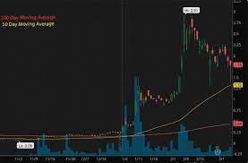 And both can be entered in fractions. Hot Penny Stocks On Webull Traders Are Watching This Week