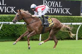daily telegraph racing tipster lizzie jelfs has a bigger stake in the golden slipper, with her filly queen of wizardry in the running for the big race. Four Moves Forward By Silver Slipper But Still On Track For Golden Slipper Sportsbeezer