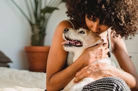 We did not find results for: Airlines Allowing An Emotional Support Animal On International Flight 2021 Pets That Travel