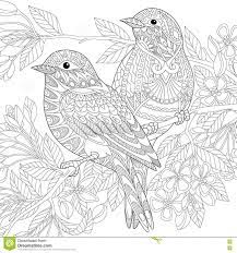 100 animals adult coloring book: Zentangle Stylized Birds Stock Illustration Image 79038706 Bird Coloring Pages Animal Coloring Pages Animal Coloring Books