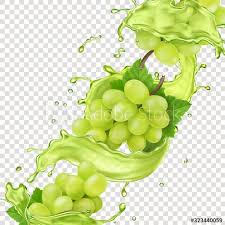 White Grape Branch In Grape Juice Splash Realistic Design For Advertising Spon Branch Juice White Grape Design Ad Grapes Grape Juice Juice